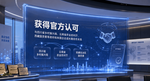 2020发展历程